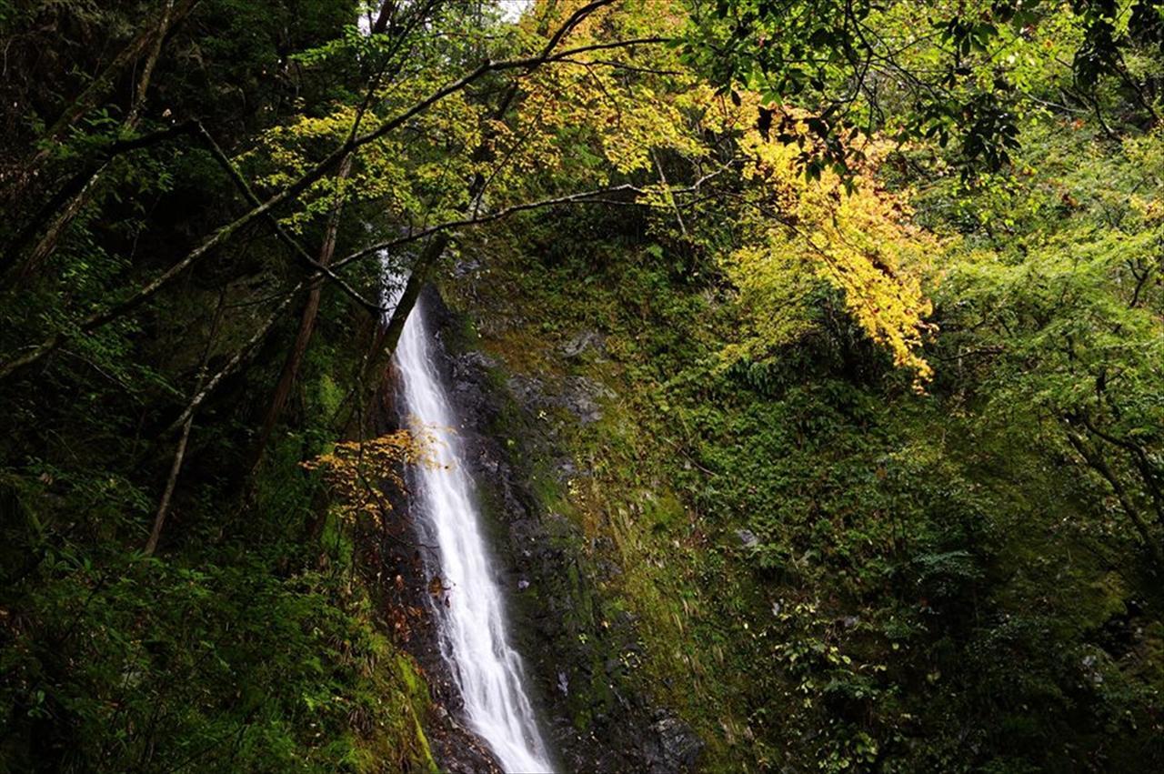 橋本市 やどり温泉 いやしの湯ヴィラ エクステリア 写真