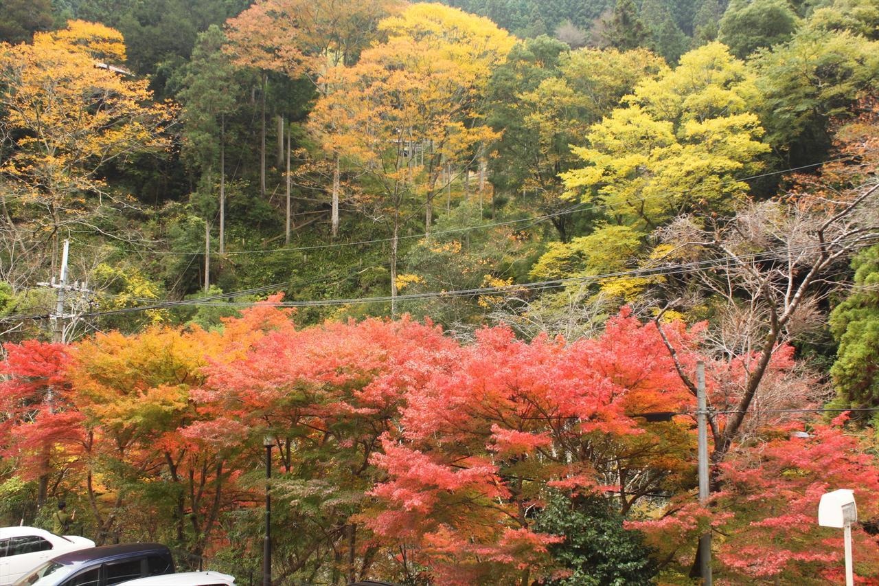 橋本市 やどり温泉 いやしの湯ヴィラ エクステリア 写真