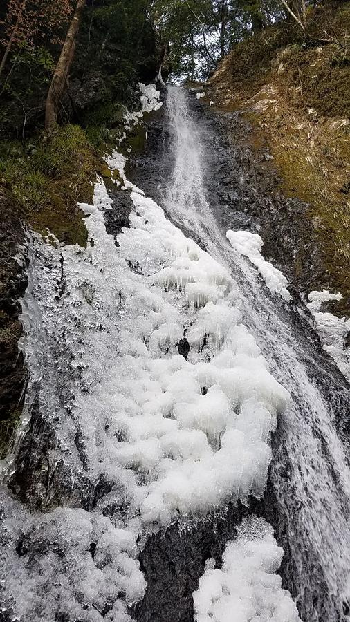 橋本市 やどり温泉 いやしの湯ヴィラ エクステリア 写真